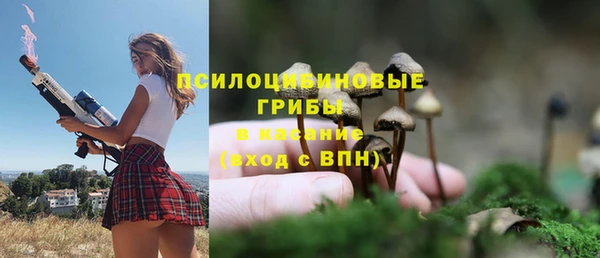 хмурый Алзамай