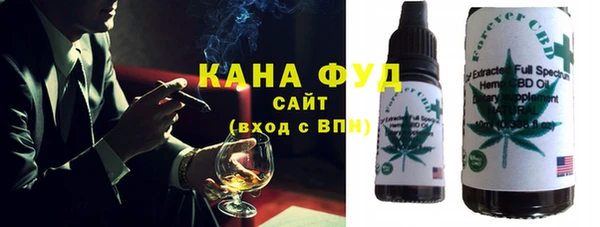 хмурый Алзамай