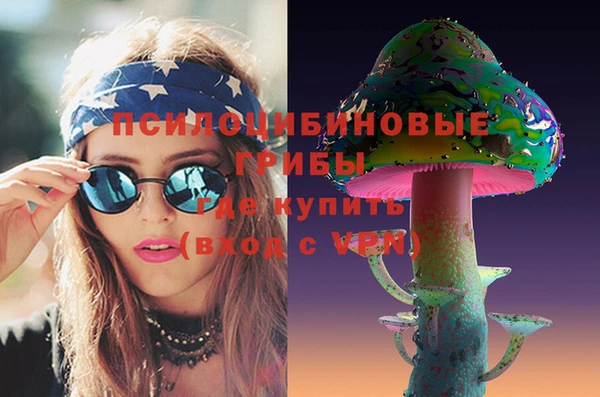 крисы Алексин